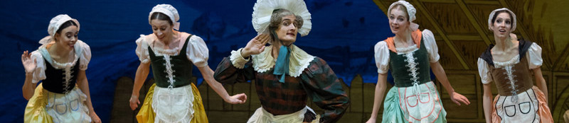 la-fille-mal-gardee